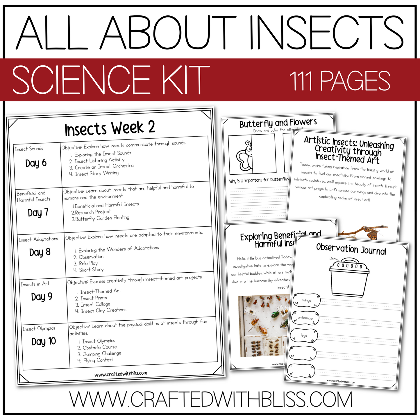 All About Insects Science K-2 Worksheet Activity 2 Week Plan