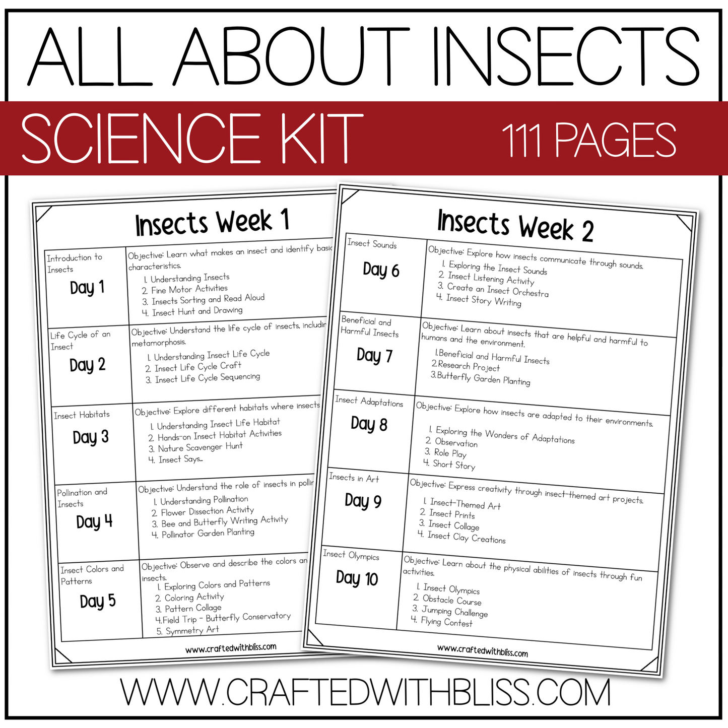 All About Insects Science K-2 Worksheet Activity 2 Week Plan