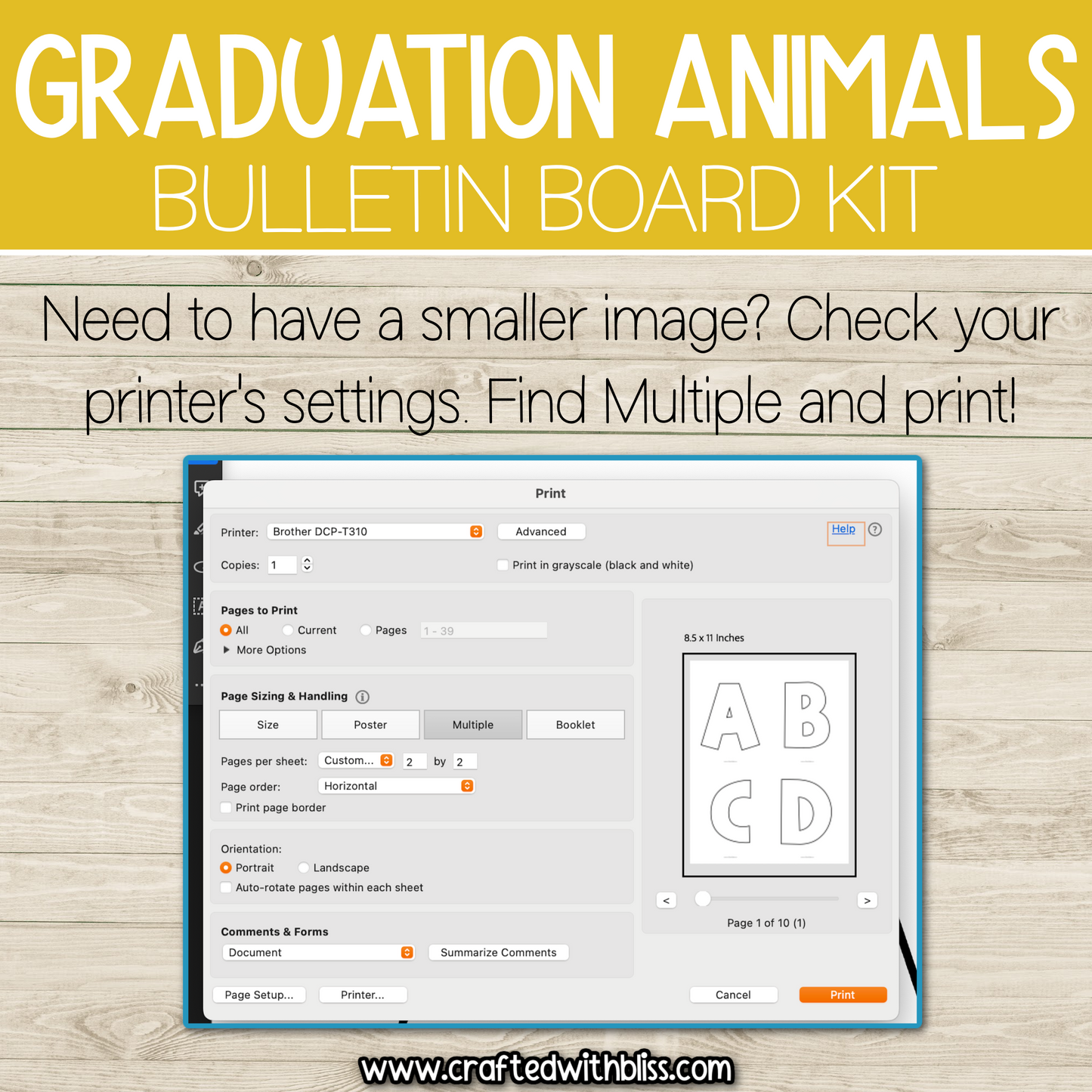 Graduation Animal Theme Bulletin Board Kit Door Classroom Decor End of the Year