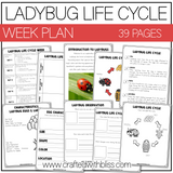 Ladybug Life Cycle Week Unit Plan Science K-2 Craft Worksheet