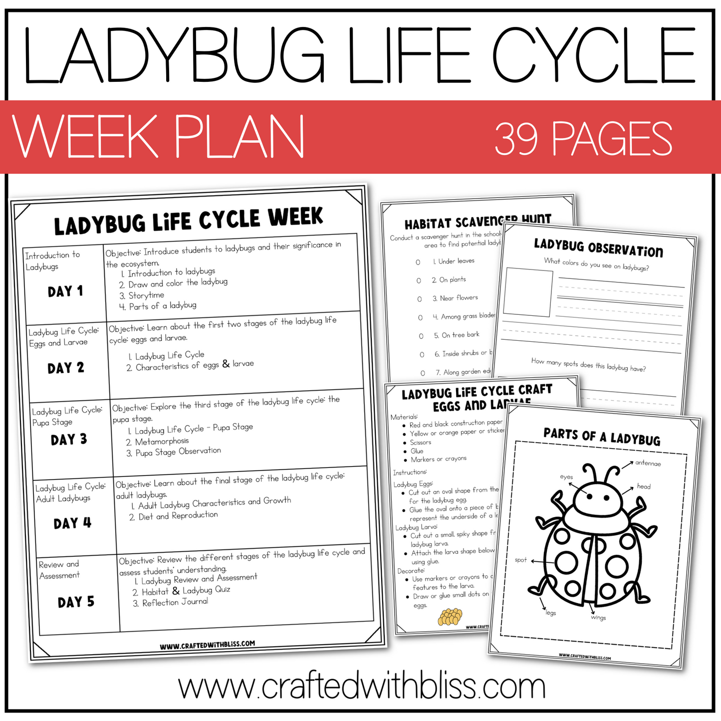 Ladybug Life Cycle Week Unit Plan Science K-2 Craft Worksheet