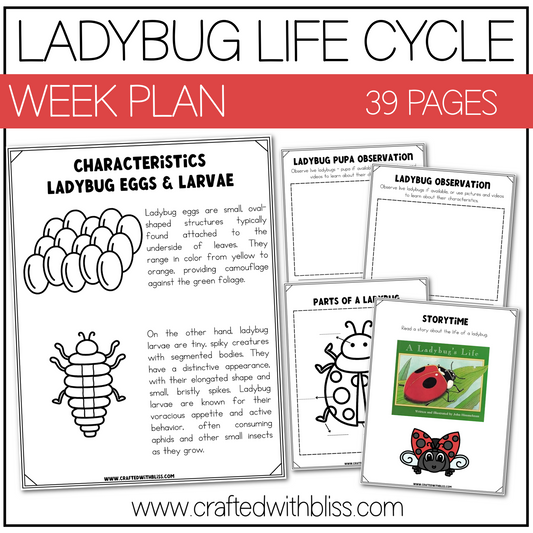 Ladybug Life Cycle Week Unit Plan Science K-2 Craft Worksheet