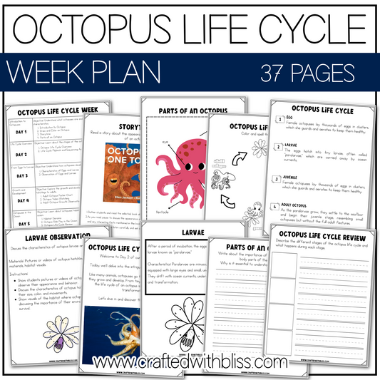 Octopus Life Cycle Week Unit Plan Science K-2 Craft Worksheet
