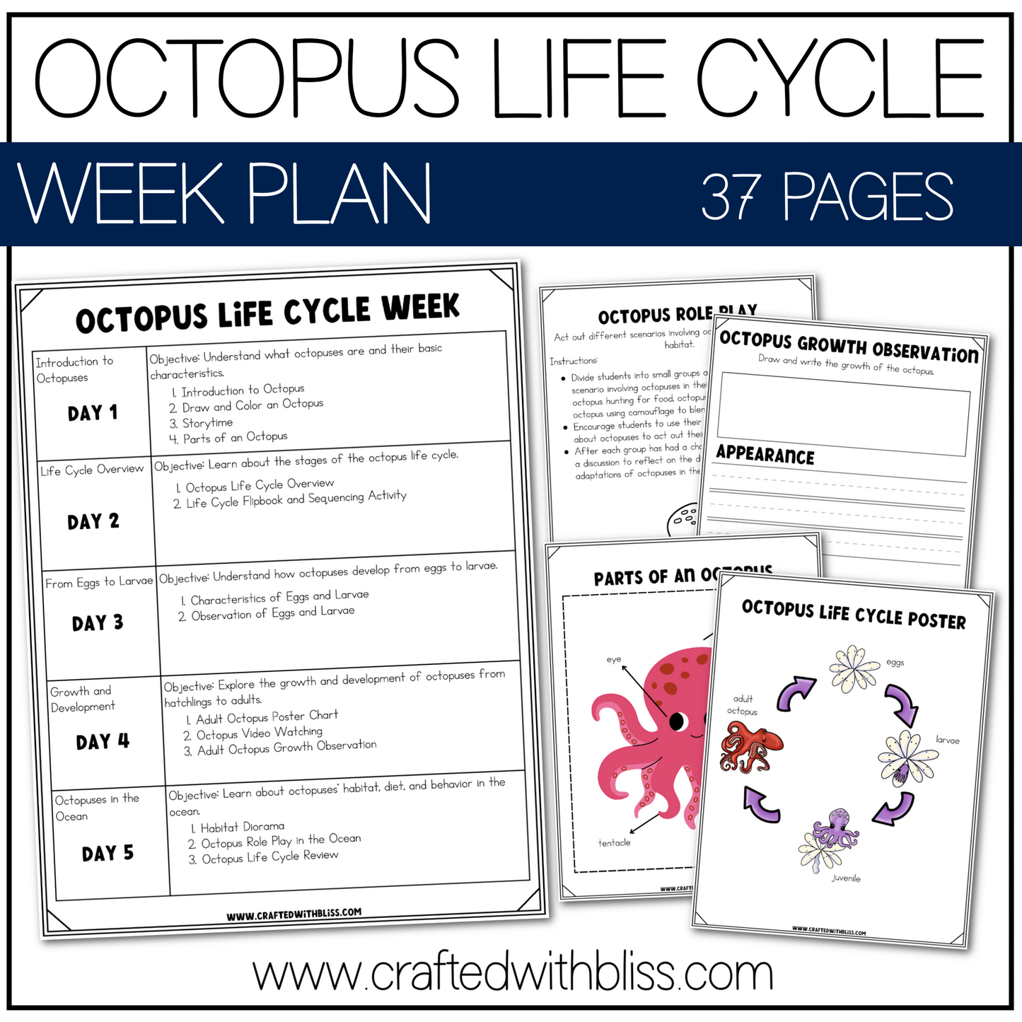 Octopus Life Cycle Week Unit Plan Science K-2 Craft Worksheet