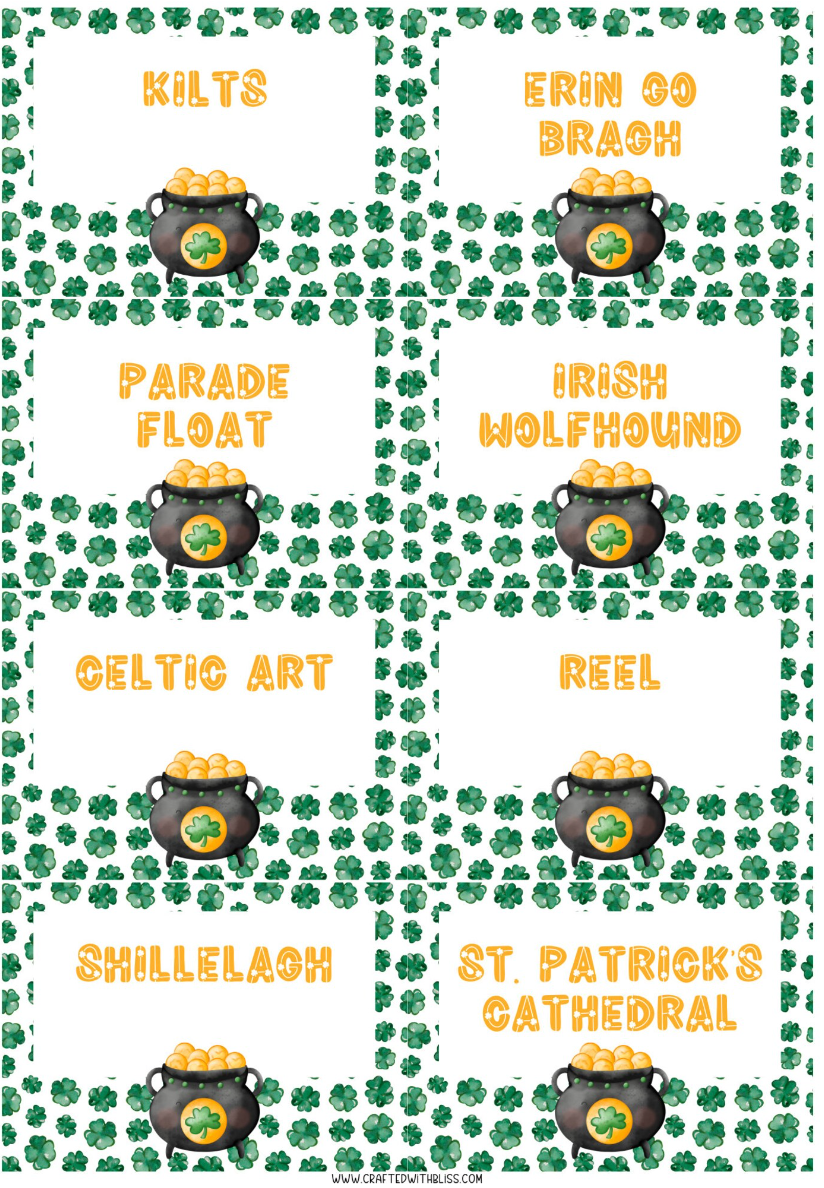 St. Patrick's Day Charades 100 Cards Class Pictionary Party Game