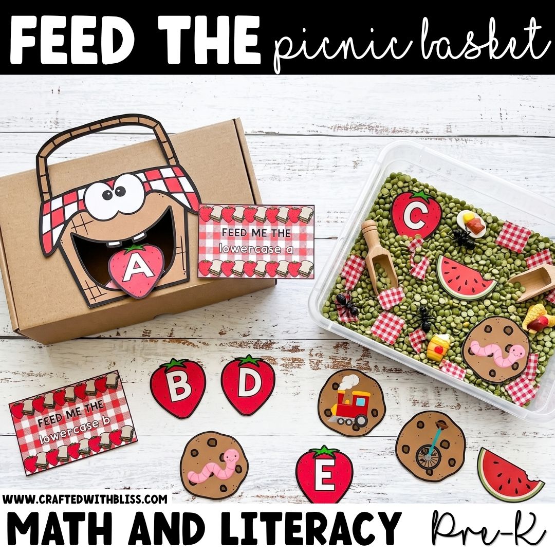 Feed the Picnic Basket Theme Sensory Bin Literacy and Math Center