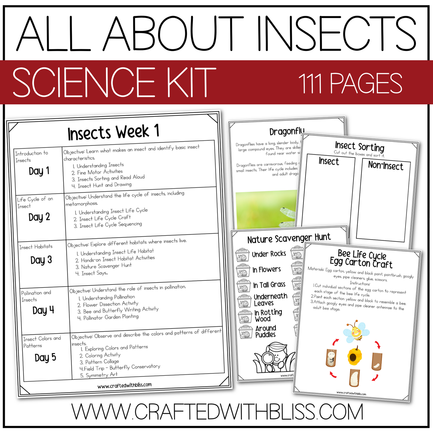 All About Insects Science K-2 Worksheet Activity 2 Week Plan