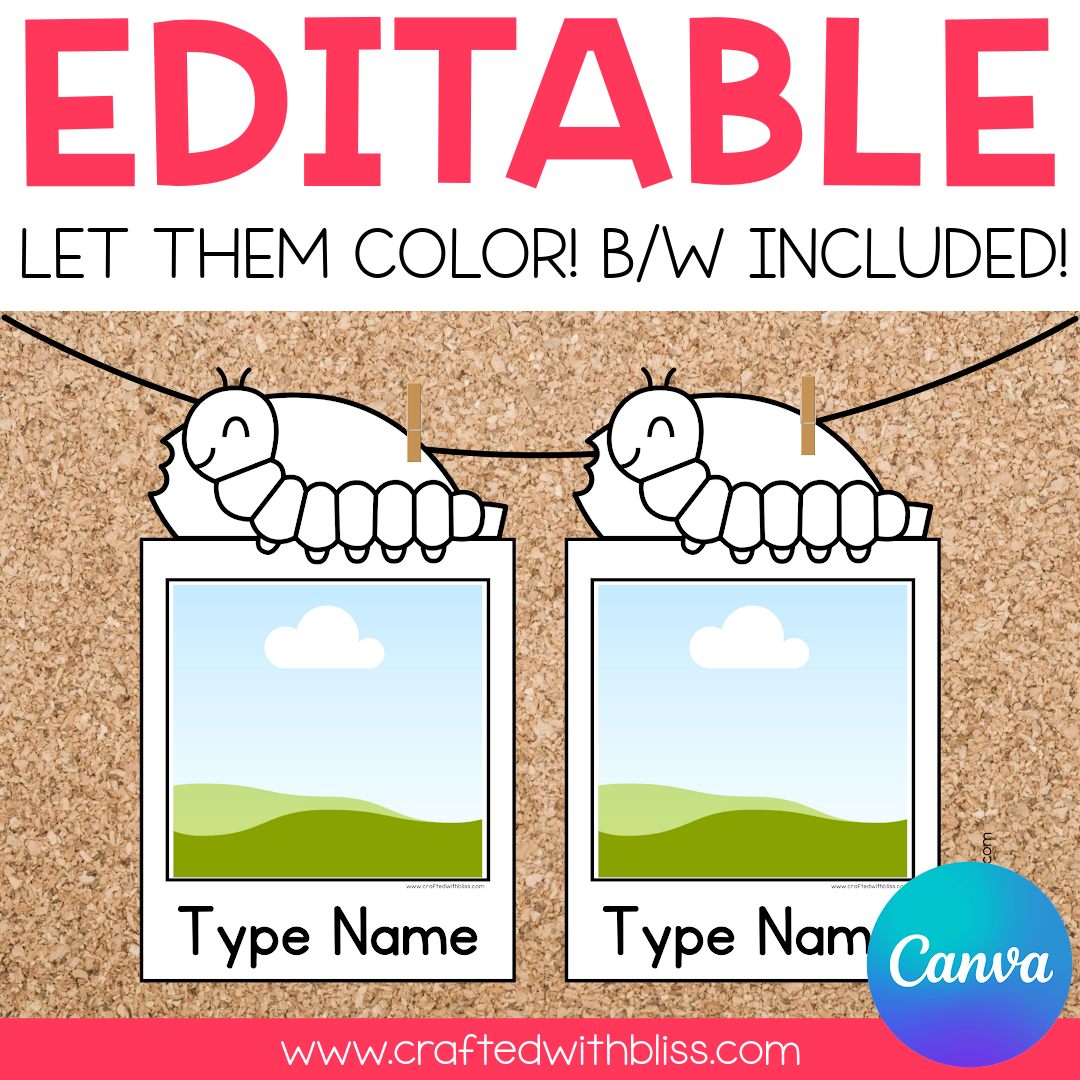 Editable Caterpillar Photo Bulletin Decor | Canva Template