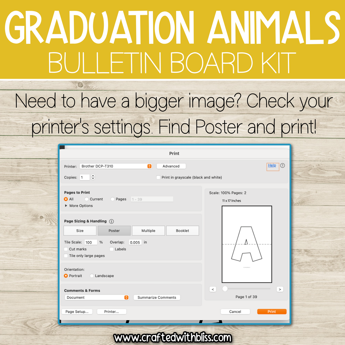 Graduation Animal Theme Bulletin Board Kit Door Classroom Decor End of the Year