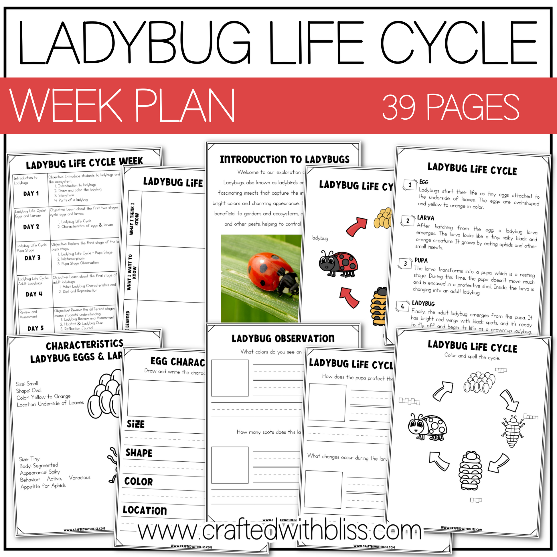 ladybug-life-cycle-week-unit-plan-science-k-2-craft-worksheet-craftedwithbliss for Free Printable Ladybug Life Cycle Worksheets Ladybug Life Cycle Week Unit Plan Science K-2 Craft Worksheet – CraftedwithBliss for Free Printable Ladybug Life Cycle Worksheets