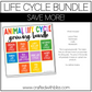 Ladybug Life Cycle Week Unit Plan Science K-2 Craft Worksheet