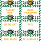 St. Patrick's Day Charades 100 Cards Class Pictionary Party Game